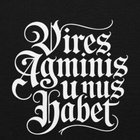 Alternative view of Sweatshirt capuche Vires agminis unus habet gothique