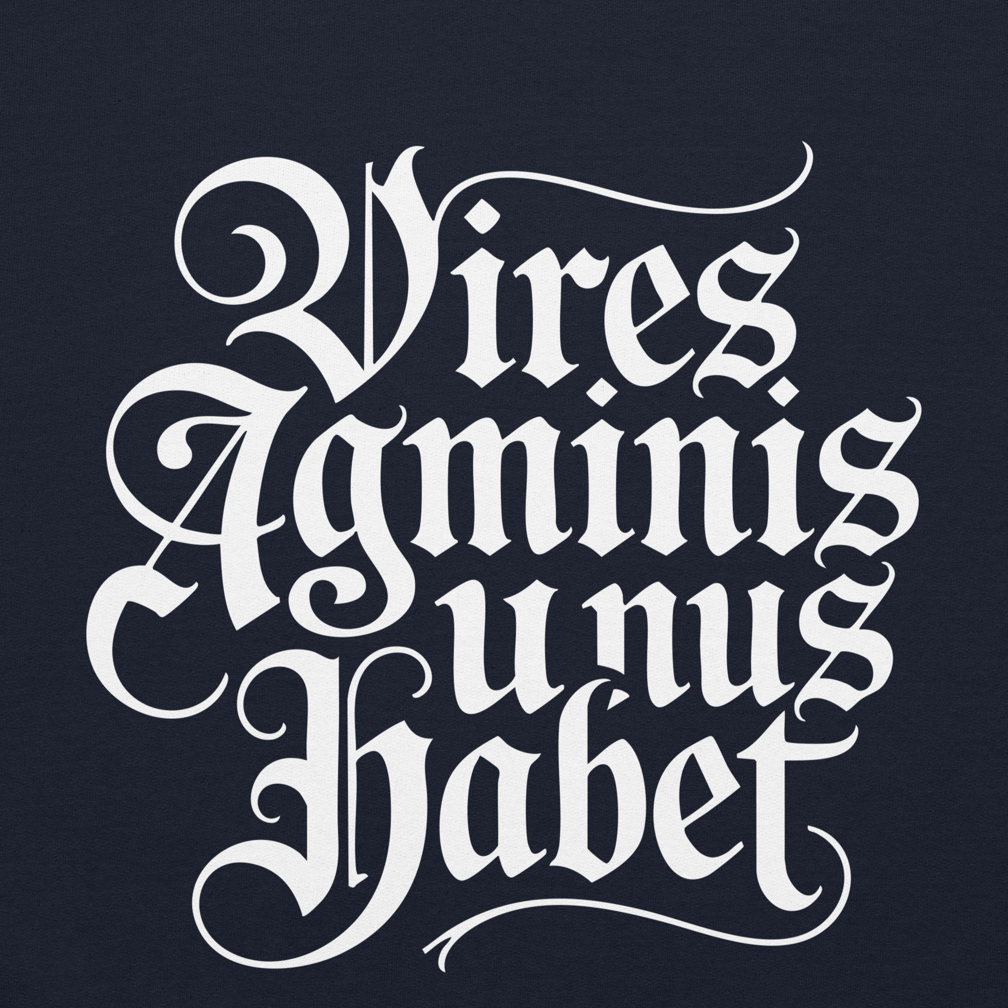 Sweatshirt capuche Vires agminis unus habet gothique – Image 4