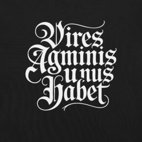 Alternative view of Tshirt Vires agminis unus habet